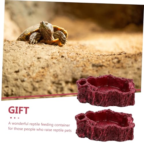 FIXOSHEE 2 Stück Reptilienschale aus Hochwertigem Harz Stabile Futterschale für Schildkröten und Schlangen Natürliche Farbgebung Kippsicher Dekorativ und Sicher für Terrarienbewohner FIXOSHEE 2 Stück Reptilienschale aus Hochwertigem Harz Stabile Futterschale für Schildkröten und Schlangen Natürliche Farbgebung Kippsicher Dekorativ und Sicher für Terrarienbewohner von FIXOSHEE