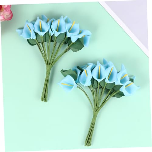 FIXOSHEE 5 Stück Teiliges Künstliches Calla lilien blumenarrangement Realistische Plastikblumen in Blau Dekorative Vase für Hochzeit Party Home Office deko Handgefertigte Foto Requisiten FIXOSHEE 5 Stück Teiliges Künstliches Calla lilien blumenarrangement Realistische Plastikblumen in Blau Dekorative Vase für Hochzeit Party Home Office deko Handgefertigte Foto Requisiten von FIXOSHEE