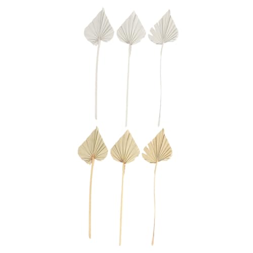 FIXOSHEE 6 Stück Teiliges Getrocknete Palmblätter Naturfarben Weiß für Hochzeit Tischdeko Boho Stil Langlebige Trockenblumen für Wohnzimmer Party und Eventgestaltung FIXOSHEE 6 Stück Teiliges Getrocknete Palmblätter Naturfarben Weiß für Hochzeit Tischdeko Boho Stil Langlebige Trockenblumen für Wohnzimmer Party und Eventgestaltung von FIXOSHEE