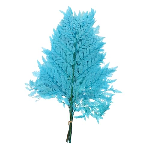 FIXOSHEE Bündel Farne Pflanzen Dekoration Heimdekoration Hochzeitsaccessoires Getrocknete Pflanzendekoration Für Bastelarbeiten Tischdekorationen Und Vasenfüllungen von FIXOSHEE