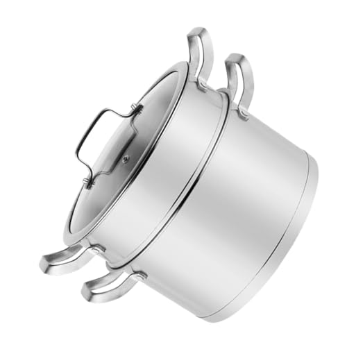 FIXOSHEE Edelstahl Dampfgarer Großer Topf mit Doppelter für Schonendes Garen Induktionsgeeignet Vielseitiger Suppentopf mit Ergonomischem Griff für Gesunde Küche und Familienessen von FIXOSHEE