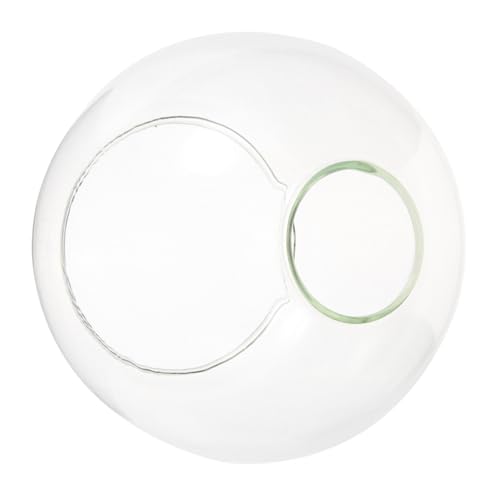 FIXOSHEE Glaslampenschirm Transparent Ersatz Lampenschirm für Pendelleuchte Doppelöffnung Eleganter Lampenschirm aus Robustem Glas für Schlafzimmer Wohnzimmer von FIXOSHEE