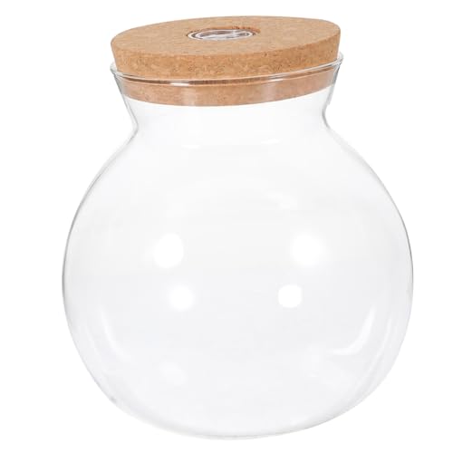 FIXOSHEE LED Glasflasche mit Mikro Landschaft und Weißem LED Licht Dekorative Ökologische Flasche mit Klarem Glas Aquarium für Wohnzimmer und Schlafzimmer Einfache Reinigung Stilvolle von FIXOSHEE