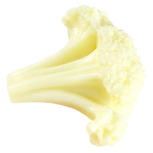 FIXOSHEE Lebensechte Künstliche Brokkoli Scheibe Simulation Gemüsemodell Robust Bruchfest Fotorequisite Puppenhausdekoration Lernspielzeug Restaurantdisplay FIXOSHEE Lebensechte Künstliche Brokkoli Scheibe Simulation Gemüsemodell Robust Bruchfest Fotorequisite Puppenhausdekoration Lernspielzeug Restaurantdisplay von FIXOSHEE