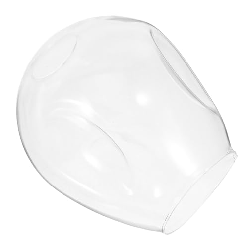 FIXOSHEE Transparenter Glasschirm Lampenschirm Langlebig für Tischlampen Schlafzimmer Kronleuchter Ersatzglas Abdeckung im Europäischen Stil Mittelloch von FIXOSHEE
