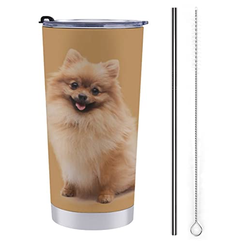 FJAUOQ 20oz Pomeranian Yellow Edelstahlbecher mit Deckel und Strohhalm, isolierter Kaffeebecher, Reisebecher für Mama, Papa, Geschenk von FJAUOQ