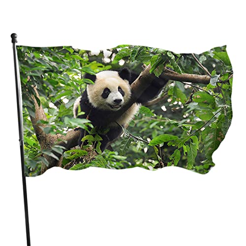 Panda-Flagge, 90 x 150 cm, süßes Tier, schwarz-weißer Panda, kletternder Baumzweig, Blätter, Outdoor-Flaggen, große Willkommens-Hof-Banner, Hausgarten, Hof, Rasendekoration von FJAUOQ