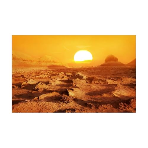 FJOADNVM Aquarium Rückwandfolie Aquarium Hintergrund Aufkleber Gelb Wüste Poster Fisch Tank Dekoration Selbst Klebe Tapete(41x 122cm) von FJOADNVM