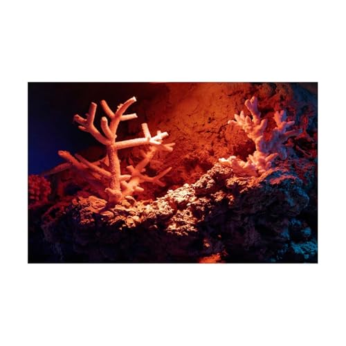 FJOADNVM Aquarium Rückwandfolie Aquarium Hintergrund Aufkleber Red Submarine Coral Poster Dekoration Selbstklebende Tapete(30x40cm) von FJOADNVM