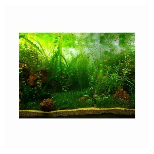 FJOADNVM Aquarium Rückwandfolie Aquarium Hintergrund Papier Dekor Wasser Gras Stil Poster PVC Klebstoff(91x41cm) von FJOADNVM