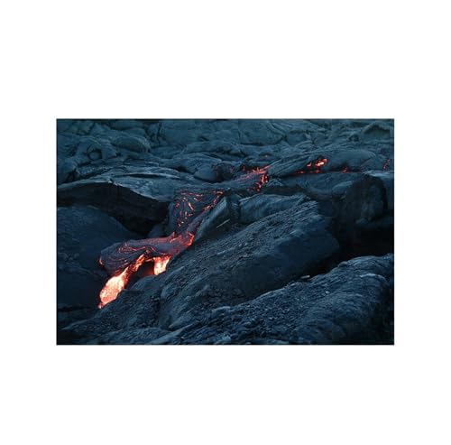 FJOADNVM Aquarium Rückwandfolie Aquarium Hintergrund Vulkangestein Schwarze Tapete Reptilien Lebensraum Dekorationen PVC(40x80cm) von FJOADNVM