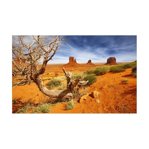FJOADNVM Aquarium Rückwandfolie Dekoration Aquarium Hintergrund Ornament Poster Wüstenlandschaft Landschaft Selbstklebende Fisch Tank(Color3,54x122cm) von FJOADNVM