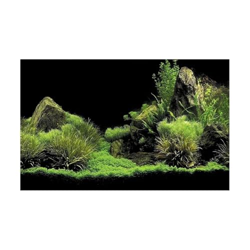 FJOADNVM Aquarium Rückwandfolie Wald Aufkleber Aquarium Hintergrund Poster Dekoration Fisch Tank Wand Lanscaping Regenwald Terrarium(GREEN2,54x122cm) von FJOADNVM