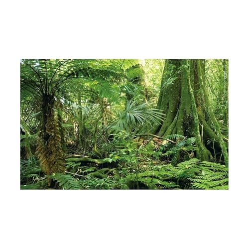 FJOADNVM Aquarium Rückwandfolie Wald Aufkleber Aquarium Hintergrund Poster Dekoration Fisch Tank Wand Lanscaping Regenwald Terrarium(GREEN3,54x122cm) von FJOADNVM