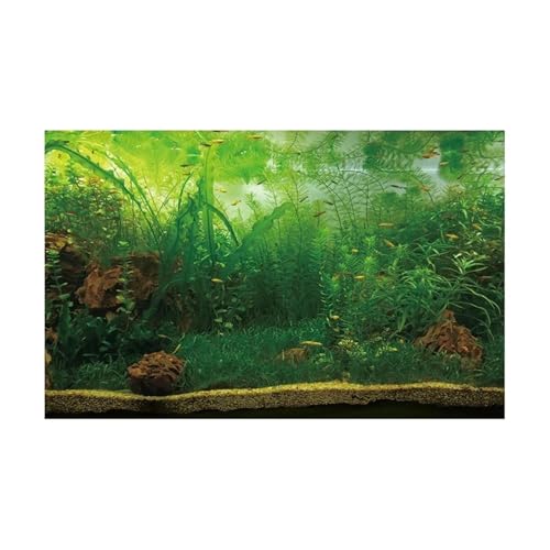 FJOADNVM Aquarium Rückwandfolie Wald Aufkleber Aquarium Hintergrund Poster Dekoration Fisch Tank Wand Lanscaping Regenwald Terrarium(GREEN4,54x122cm) von FJOADNVM