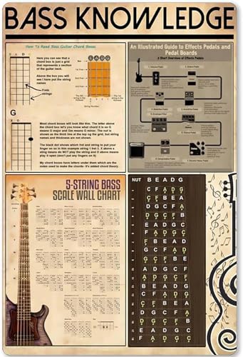 FJQWKLF Retro-Poster, Wandkunst, Bass-Wissen, Metallschild „How to Understand Bass Planing, Infografik, Plakette, Eisenmalerei, Heimküche, Club, Schule, Café, Dekor, Poster, Geschenk, 20,3 x 30,5 cm FJQWKLF Retro-Poster, Wandkunst, Bass-Wissen, Metallschild „How to Understand Bass Planing, Infografik, Plakette, Eisenmalerei, Heimküche, Club, Schule, Café, Dekor, Poster, Geschenk, 20,3 x 30,5 cm von FJQWKLF