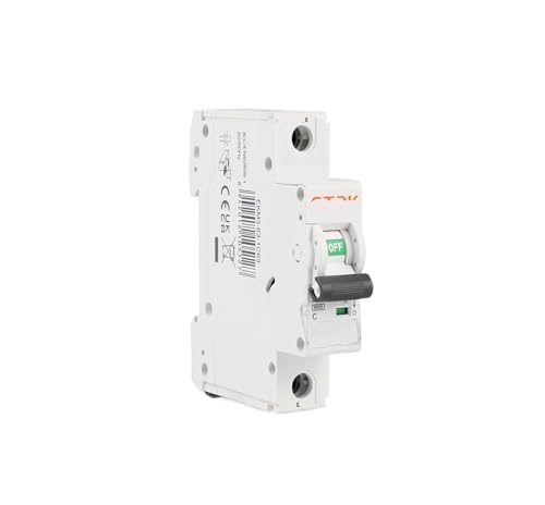 1P Miniatur-Leistungsschalter, AC-Kurzschluss-Überlastschutz, 35 mm, DIN-Schienenmontage, 6–63 A, 220 V, 230 V, 50/60 Hz(25A) von FJSAYDYW