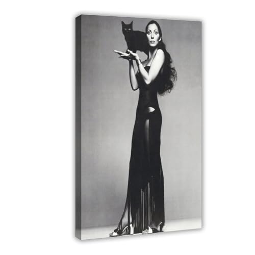 FKBALCZ Cher-Druck, Cher-Musik, Schwarz-Weiß-Wandkunst, Leinwand-Poster, Wandkunst, Dekordruck, Bild Gemälde für Wohnzimmer, Schlafzimmer, Dekoration, 60 x 90 cm FKBALCZ Cher-Druck, Cher-Musik, Schwarz-Weiß-Wandkunst, Leinwand-Poster, Wandkunst, Dekordruck, Bild Gemälde für Wohnzimmer, Schlafzimmer, Dekoration, 60 x 90 cm von FKBALCZ