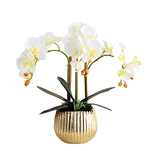 FKJLUN Kunstpflanze mit Übertopf Künstliche weiße Orchidee Phalaenopsis Anordnung Blume Bonsai mit Goldener Vase-Tisch-Herzstück-Dekoration künstliche Blumenarrangements von FKJLUN