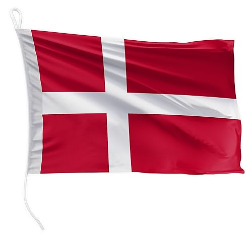 FLAGLY Premium Bootsfahne Dänemark 30 x 20 cm Querformat - 115g/m² Stoffgewicht - gedruckt, robust mit Strick & Schlaufe, Bootszubehör Motorboot (30 x 20 cm - Dänemark) von FLAGLY