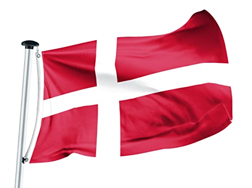 FLAGLY Premium Flagge Dänemark 100 x 150 cm - 115g/m² Stoffgewicht - gedruckt, robustes und witterungsbeständiges Fahnenpolyester mit Ösen (100 x 150 cm, Dänemark) von FLAGLY