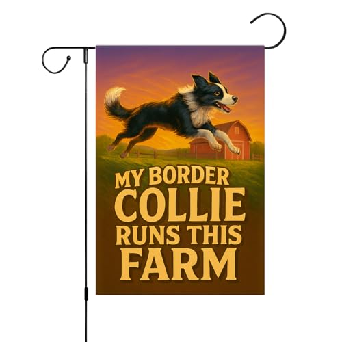 Flagmeup8386 Gartenflagge mit Landhund, Polyester, doppelseitig, für den Außenbereich, 30,5 x 45,7 cm, Landhaus-Dekoration, rustikaler Haustier-Humor, My Border Collie Runs This Farm Flagmeup8386 Gartenflagge mit Landhund, Polyester, doppelseitig, für den Außenbereich, 30,5 x 45,7 cm, Landhaus-Dekoration, rustikaler Haustier-Humor, My Border Collie Runs This Farm von FLAGMEUP8386