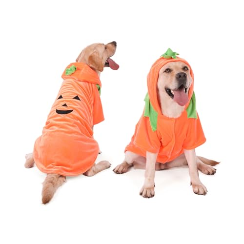 FLAdorepet Kürbis-Kostüm für große Hunde, Halloween, Erntedankfest, Partykleid, Winter-Hundejacke, Kapuzenpullover, lustige Kleidung für Labrador, Bulldogge (Orange, Größe 4XL) von FLAdorepet