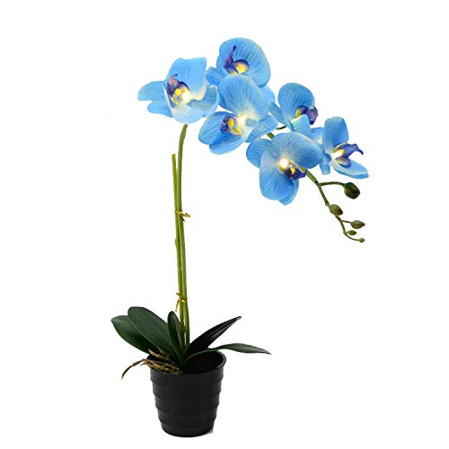 FLCSIed 50 cm LED-Orchideen-Blumentopf, beleuchteter Bonsai-Blumentopf, 7 warme LEDs mit 2 AA-Batterie-Topf, 7 Stück echte Blumen mit Knospen von FLCSIed