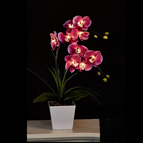 Floristlighting Künstliches Orchideen-Arrangement, 9 Lichter, Beleuchtung mit 2 AA LEDs violett von FLCSIed