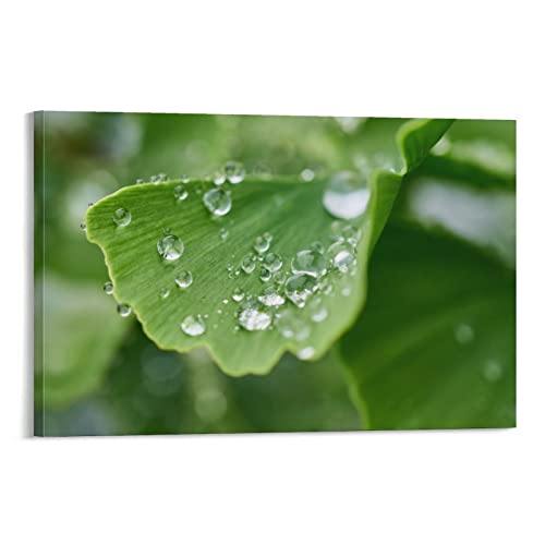 flechr Ginkgo-Blatt, Tautropfen, Regentropfen, nasse Wandkunst, Bild, Poster, Leinwanddruck, Poster, Kunstwerke, Raumdekoration, 30 x 45 cm flechr Ginkgo-Blatt, Tautropfen, Regentropfen, nasse Wandkunst, Bild, Poster, Leinwanddruck, Poster, Kunstwerke, Raumdekoration, 30 x 45 cm von FLECHR