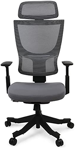 FLEXISPOT BS8B Ergonomischer Bürostuhl Schreibtischstuhl mit Lordosenstütze 3D-Armlehnen und Einstellung der Sitztiefe Office Stuhl BackSupport von FLEXISPOT