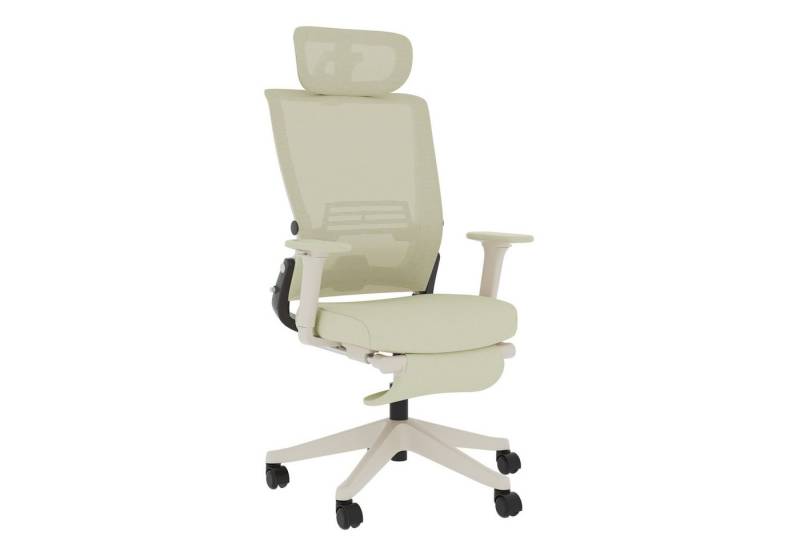 FLEXISPOT Bürostuhl Foldex Ergonomischer Bürostuhl – Ideal für Büro & Mittagspause (2D-Kopfstütze, Schreibtischstuhl mit Fußstütze – Perfekt für Home-Office & Entspannung), Faltbar, in verschiedenen Farben erhältlich, 90°-135° neigbar von FLEXISPOT