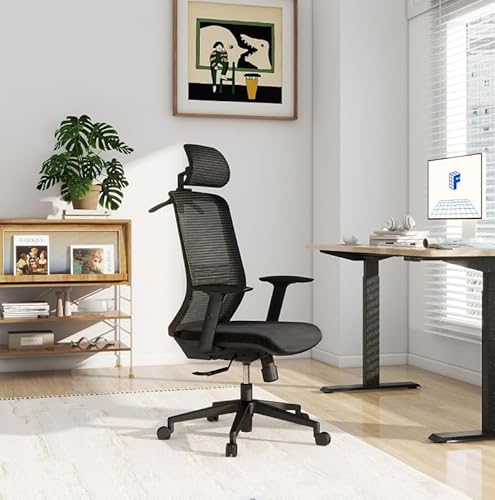 FLEXISPOT Bürostuhl Ergonomischer Schreibtischstuhl, Höhenverstellbarer Drehstuhl, Rückenschonender und Taillenfreundlicher Netzstuhl, Computerstuhl mit Kleiderhaken, Schwarz von FLEXISPOT