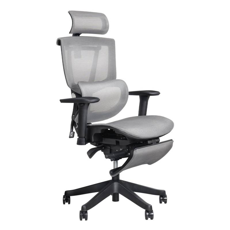 FLEXISPOT Bürostuhl Premium Ergonomischer C7, Ergonomischer Chef-Mesh-Bürostuhl, Computer-Bürostuhl FLEXISPOT Bürostuhl Premium Ergonomischer C7, Ergonomischer Chef-Mesh-Bürostuhl, Computer-Bürostuhl von FLEXISPOT