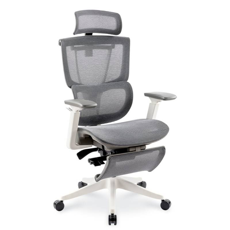 FLEXISPOT Bürostuhl Premium Ergonomischer C7, Ergonomischer Chef-Mesh-Bürostuhl, Computer-Bürostuhl von FLEXISPOT
