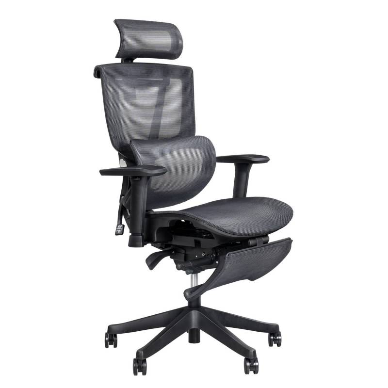 FLEXISPOT Bürostuhl Premium Ergonomischer C7, Ergonomischer Chef-Mesh-Bürostuhl, Computer-Bürostuhl von FLEXISPOT