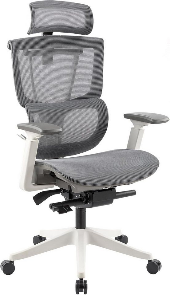 FLEXISPOT Bürostuhl Premium Ergonomischer C7, Ergonomischer Chef-Mesh-Bürostuhl, Computer-Bürostuhl FLEXISPOT Bürostuhl Premium Ergonomischer C7, Ergonomischer Chef-Mesh-Bürostuhl, Computer-Bürostuhl von FLEXISPOT