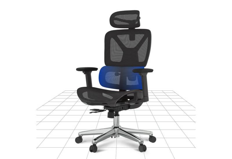 FLEXISPOT Bürostuhl Schreibtischstuhl Premium Ergonomischer (Rückenlehne verstellbar 90°-135°, 3D-Armlehnen, 3D-Kopfstütze, 5D-verstellbare Rückenlehne), ERGOX, Chef-Mesh-Bürostuhl, Computer-Bürostuhl, 130KG Tragkraft von FLEXISPOT