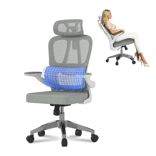 FLEXISPOT Ergonomischer Bürostuhl, Schreibtischstuhl mit 2D-Kopfstütze, Klappbare Armlehnen & Dynamische Lendenstütze, Stuhl mit 120° Wippfunktion für Homeoffice, Arbeitszimmer, Büro (Grau) von FLEXISPOT
