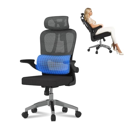 FLEXISPOT Ergonomischer Bürostuhl, Schreibtischstuhl mit 2D-Kopfstütze, Klappbare Armlehnen & Dynamische Lendenstütze, Stuhl mit 120° Wippfunktion für Homeoffice, Arbeitszimmer, Büro (Schwarz) von FLEXISPOT