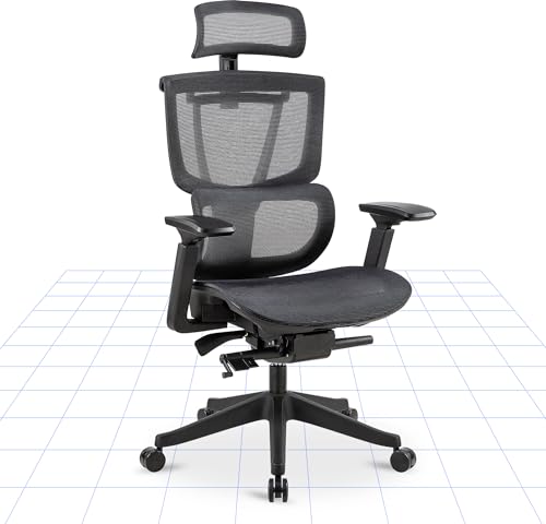 FLEXISPOT Ergonomischer Bürostuhl Schreibtischstuhl Verstellbarer Lendenstütze 4D-Armlehnen 2D-Kopfstütze Atmungsaktiver Sitz höhenverstellbarer Belastbar bis 130 kg Arbeitsstuhl, Schwarz von FLEXISPOT