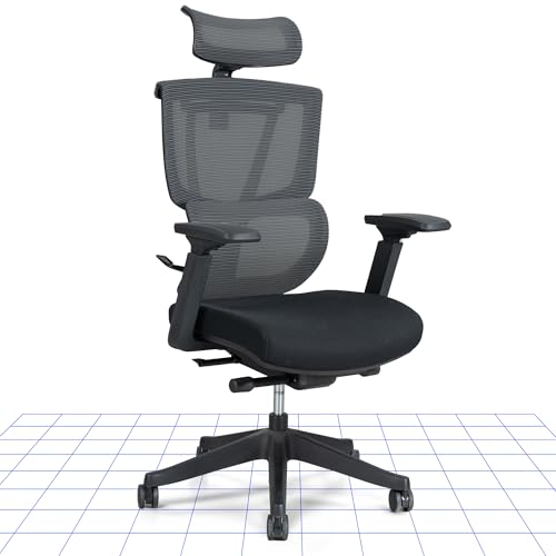 FLEXISPOT Ergonomischer Bürostuhl Schreibtischstuhl Verstellbarer Lendenstütze 4D-Armlehnen 2D-Kopfstütze Atmungsaktiver Sitz höhenverstellbarer Belastbar bis 130 kg Arbeitsstuhl ErgoX, Schwarz von FLEXISPOT