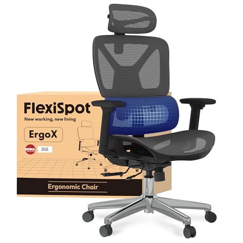 FLEXISPOT Ergonomischer Bürostuhl Schreibtischstuhl, 3D-Armlehnen, 3D-Kopfstütze, 5D-verstellbare Rückenlehne, Atmungsaktiver Sitz Belastbar bis 130 kg Arbeitsstuhl, ErgoX, Dunkelgrau von FLEXISPOT