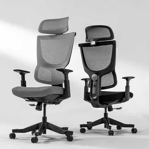 FLEXISPOT Ergonomischer Bürostuhl mit 9 Positionen Lendenwirbelstütze, verstellbaren Armlehnen, elastischem Kissen, atmungsaktiver Kopfstütze und verstellbarer Rückenlehne, Schreibtischstuhl für Home FLEXISPOT Ergonomischer Bürostuhl mit 9 Positionen Lendenwirbelstütze, verstellbaren Armlehnen, elastischem Kissen, atmungsaktiver Kopfstütze und verstellbarer Rückenlehne, Schreibtischstuhl für Home von FLEXISPOT
