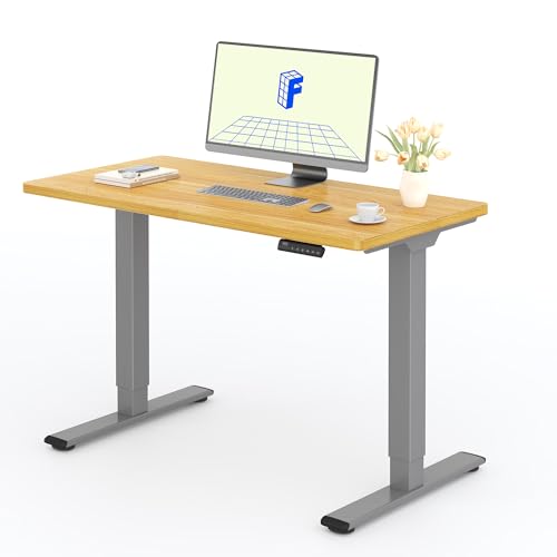 FLEXISPOT Höhenverstellbarer Schreibtisch mit 2 Motoren & 25MM einteiliger Tischplatte,ergonomischer Bürotisch - 120 x 60 cm Ahorn, graues Gestell von FLEXISPOT