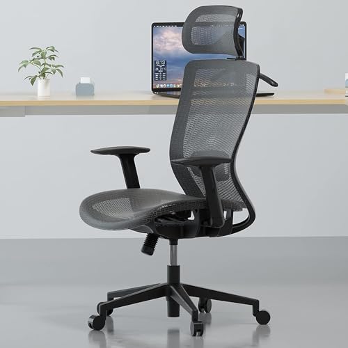FLEXISPOT Bürostuhl Ergonomischer Schreibtischstuhl mit Großem Rückenlehnenbereich Höhenverstellbarer Sitz, Kopfstütze, Armlehnen, Lendenstütze, Rollen Arbeitsstuhl, OC3B von FLEXISPOT
