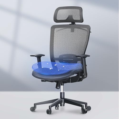 FLEXISPOT Bürostuhl Ergonomisch Schreibtischstuhl Computerstuhl Höhenverstellbarer Sitz Kopfstütze Armlehne Lendenwirbelstütze Lenkrollen Arbeitsstuhl OC3C FLEXISPOT Bürostuhl Ergonomisch Schreibtischstuhl Computerstuhl Höhenverstellbarer Sitz Kopfstütze Armlehne Lendenwirbelstütze Lenkrollen Arbeitsstuhl OC3C von FLEXISPOT