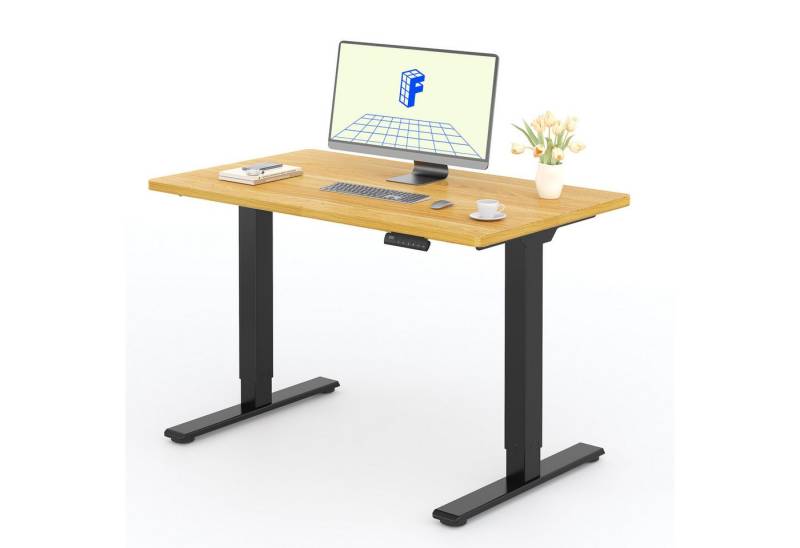 FLEXISPOT Schreibtisch Basic Plus Elektrisch höhenverstellbarer Schreibtisch (2 Motore & 2-Fach-Teleskop & 4 Höhenspeichertasten), MIT einteiliger Tischplatte, 120/140/160 von FLEXISPOT