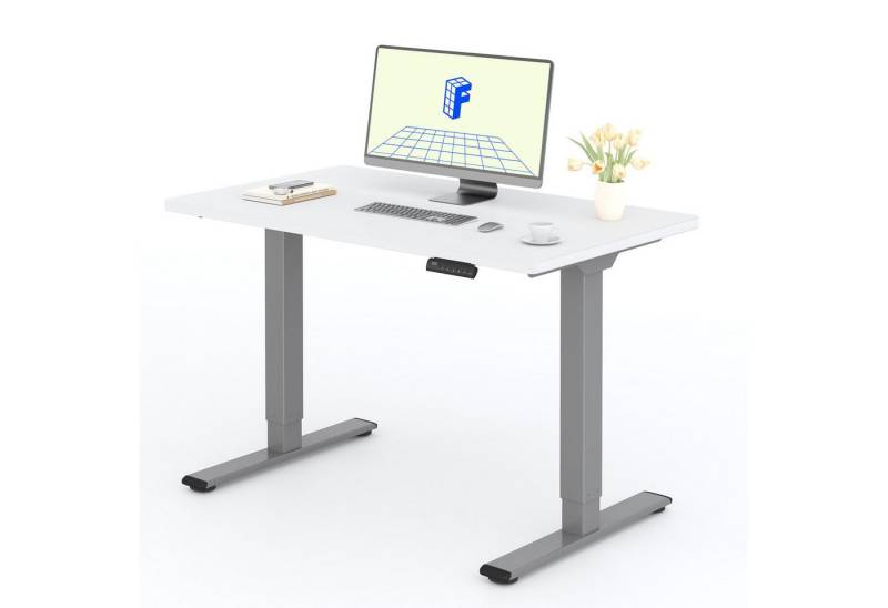 FLEXISPOT Schreibtisch Basic Plus Elektrisch höhenverstellbarer Schreibtisch (2 Motore & 2-Fach-Teleskop & 4 Höhenspeichertasten), MIT einteiliger Tischplatte, 120/140/160 von FLEXISPOT