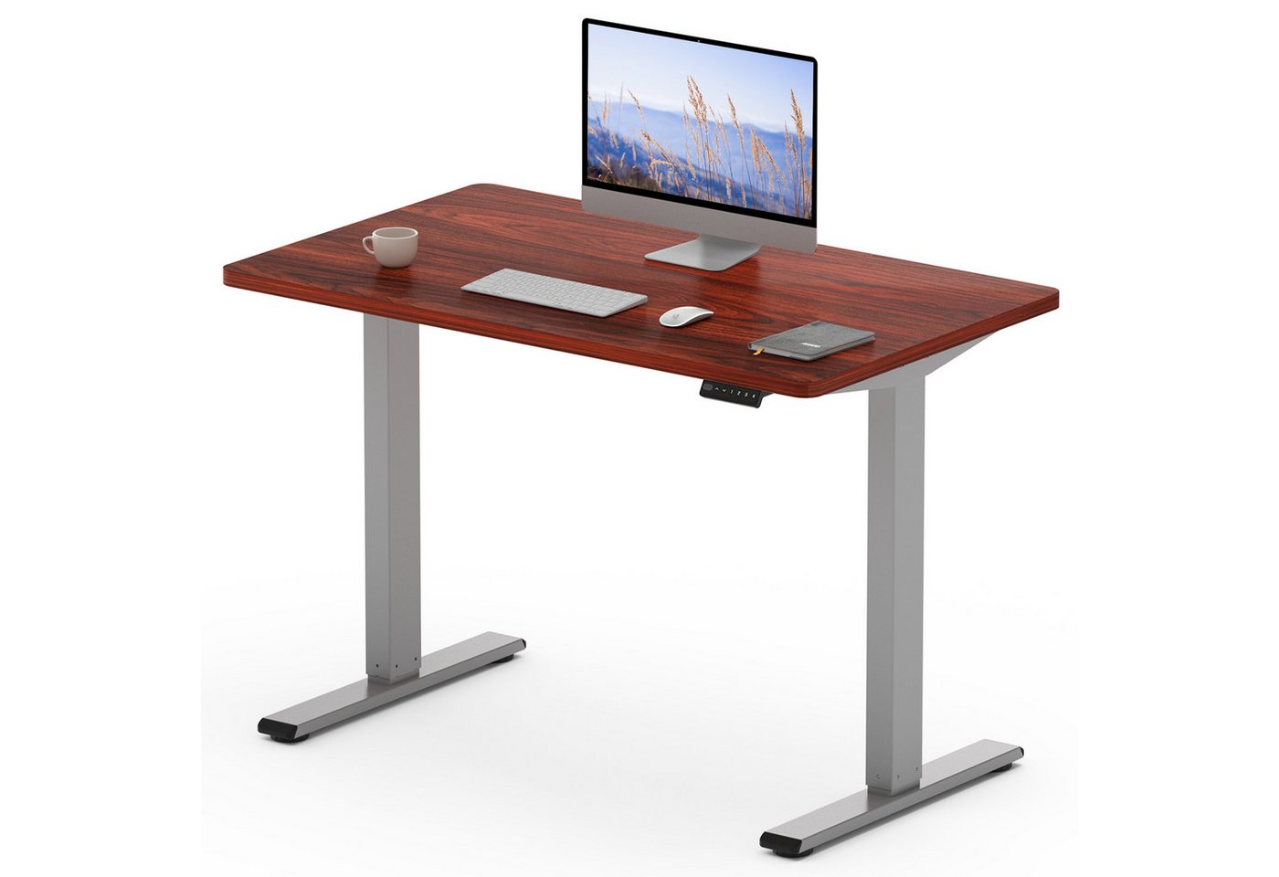 FLEXISPOT Schreibtisch Basic Plus Elektrisch höhenverstellbarer Schreibtisch (MIT einteiliger Tischplatte), 2-Fach-Teleskop, mit Memory-Steuerung von FLEXISPOT